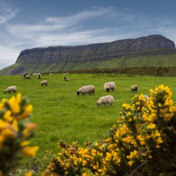 photo of a beautiful scenic irish landscape