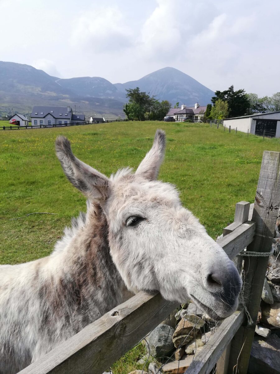 35 of the Coolest & Unique Places To Stay In Ireland