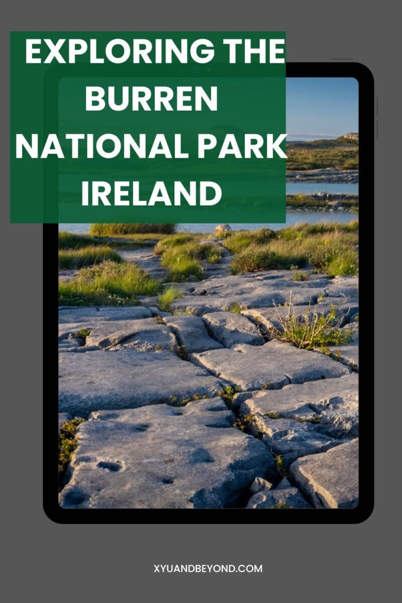 Digital poster promoting exploration of the Burren in County Clare, Ireland, featuring an image of cracked limestone terrain with lush greenery in the background.