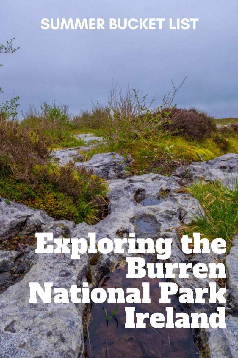 Promotional poster for summer activities featuring a rocky path in the Burren, County Clare, Ireland, with text overlay about exploring the park.