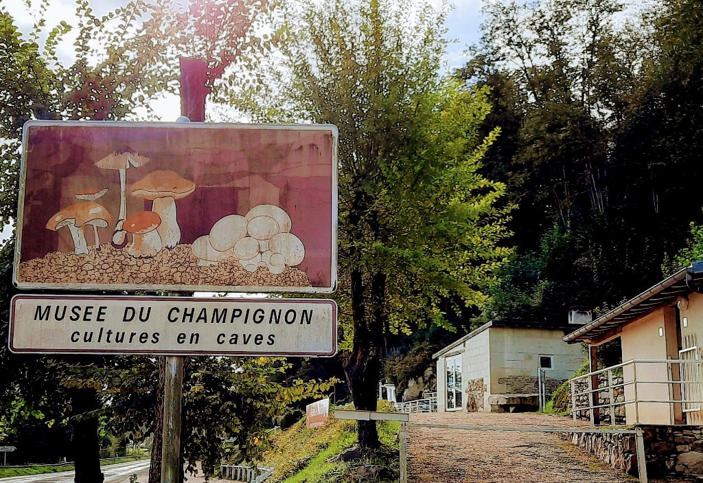 What to see in Saumur France: the pearl of the Anjou