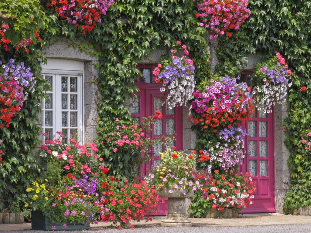flowers in underrated destinations in Europe