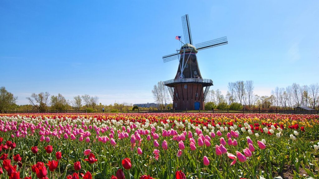 Best Places to visit in the Netherlands not Amsterdam