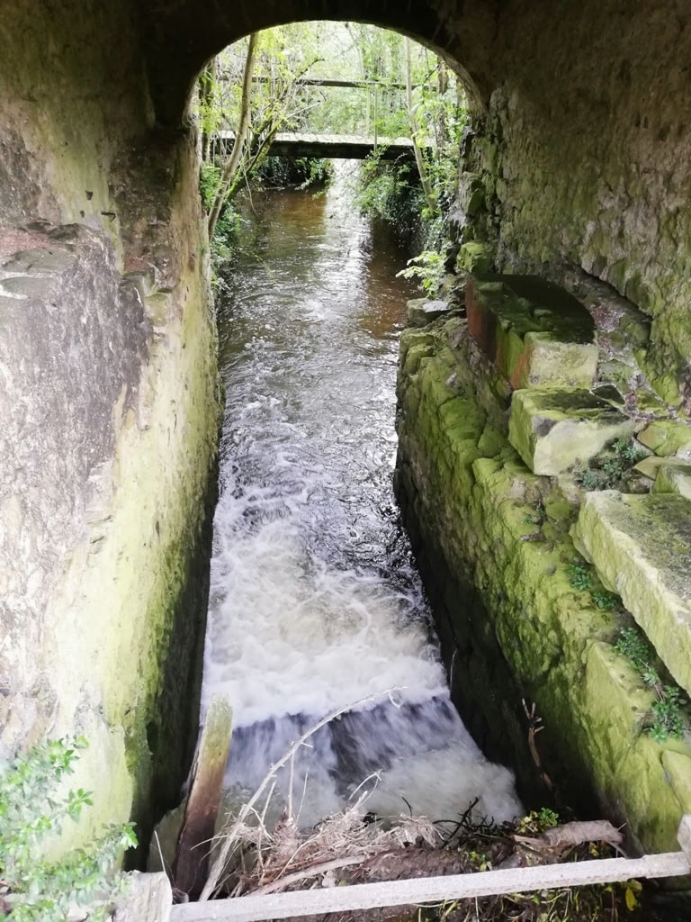 Kells Priory exploring an evocative Irish ruin