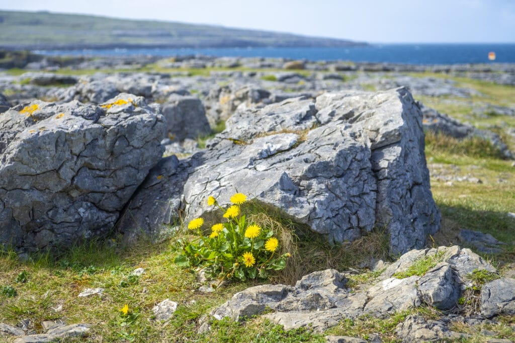 The Burren National Park Ireland a surreal landscape