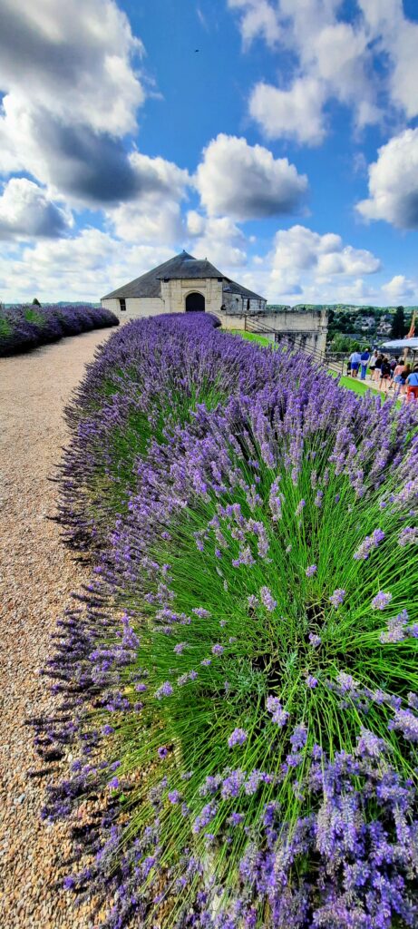 Chateau Amboise France – jewel of the French Renaissance