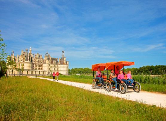 Chateau de Chambord these are the rosalies which are little carriages that take four to six people and  you can pedal them around the chateau