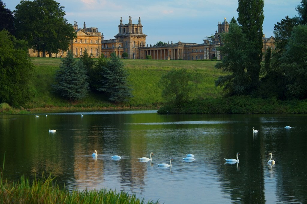 Visiting Blenheim Palace a view from the lake with white swans swimming and the castle of Blenheim with its red brick buildings. 