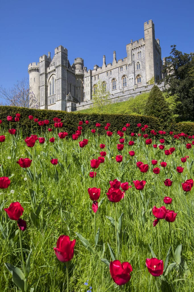 ARUNDEL, UK - MAY 5TH 2018: A view of the magnificent Arundel Castle, located in the historic market town of Arundel in West Sussex, UK,