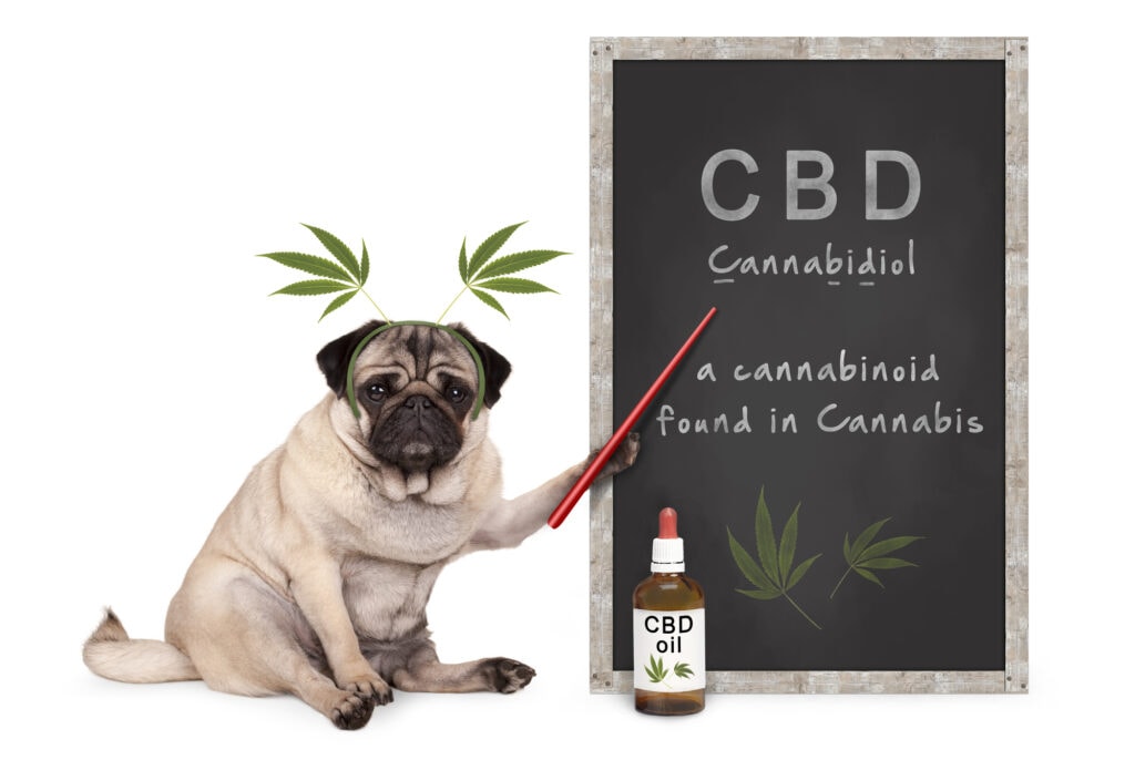 coffeeshops in Amsterdam a poster for CBD oil 