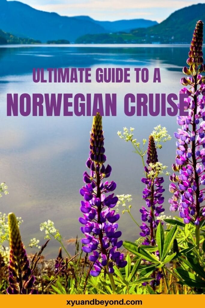 The Best guide to a P&O Norwegian Fjords cruise