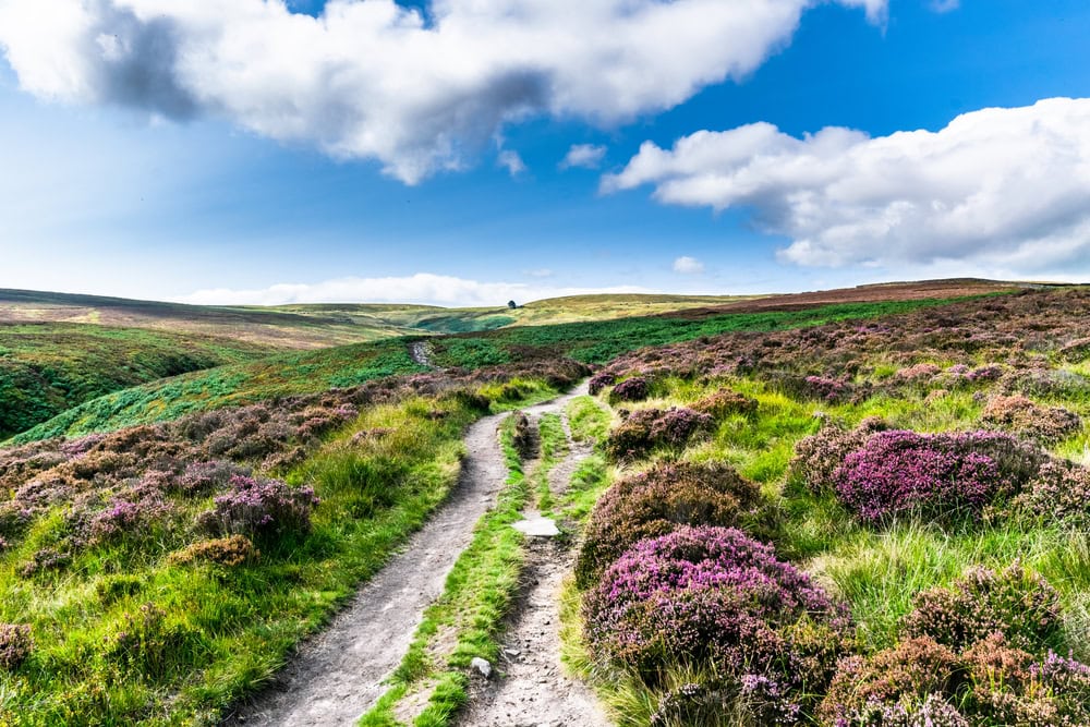 Things to do in Pickering Yorkshire, explore the North Yorkshire Moors a landscape of hills and valleys covered in greenery, and purple heather