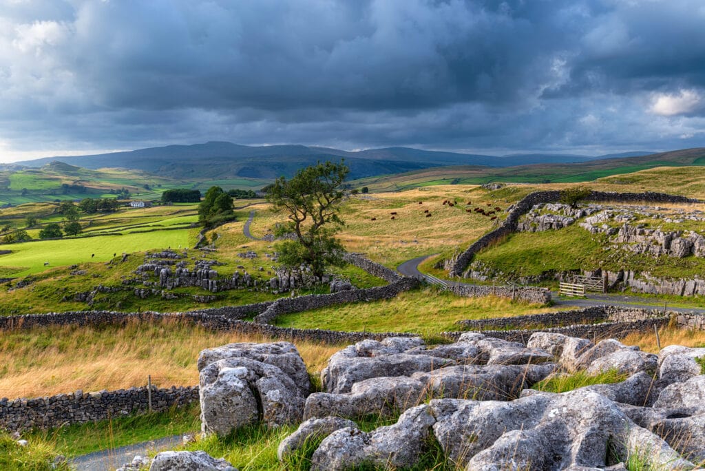 16 Evocative Ruined Abbeys in Yorkshire