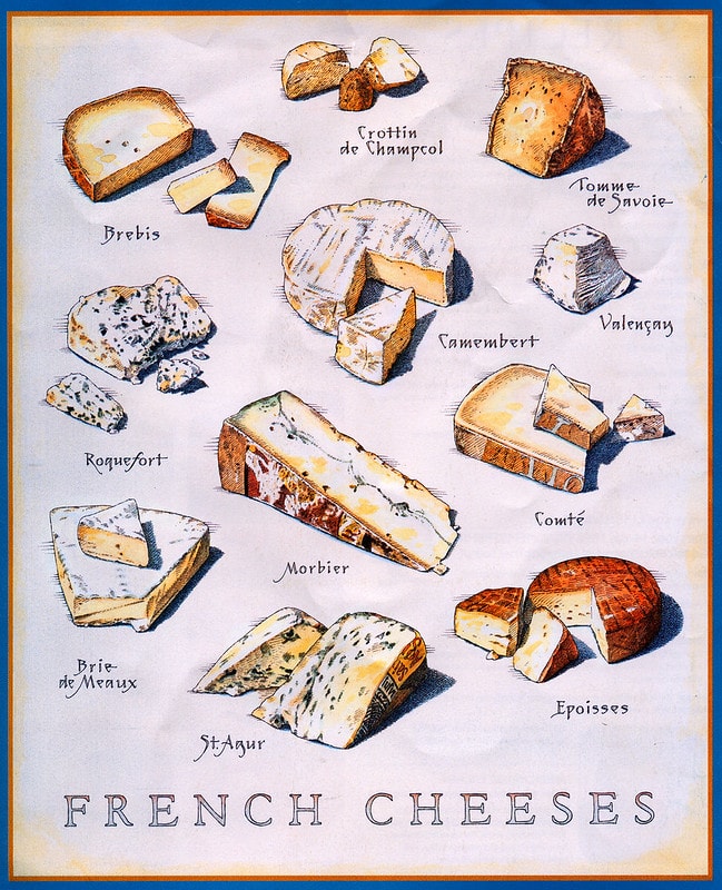 The Many Different Types of Cheese