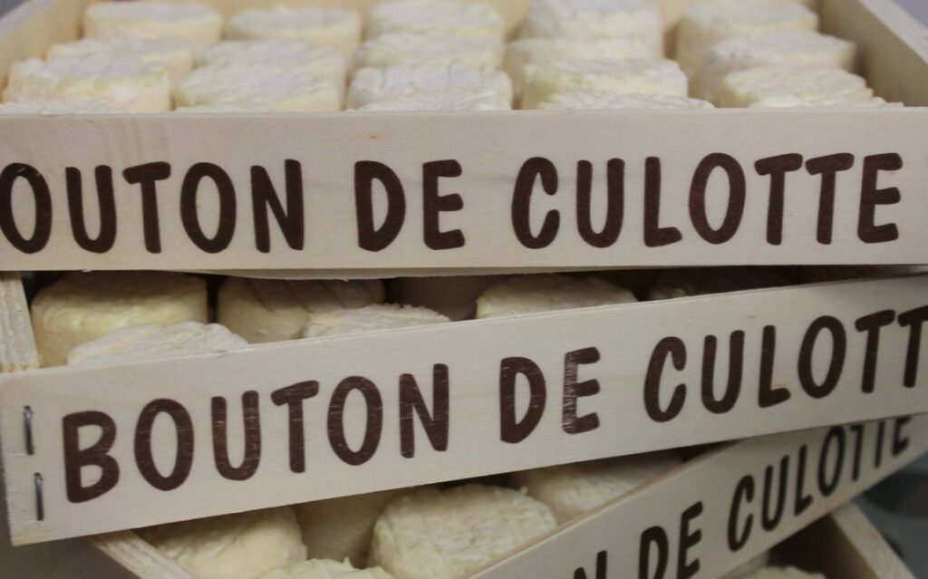 French Cheese: 23 amazing types of cheese in France