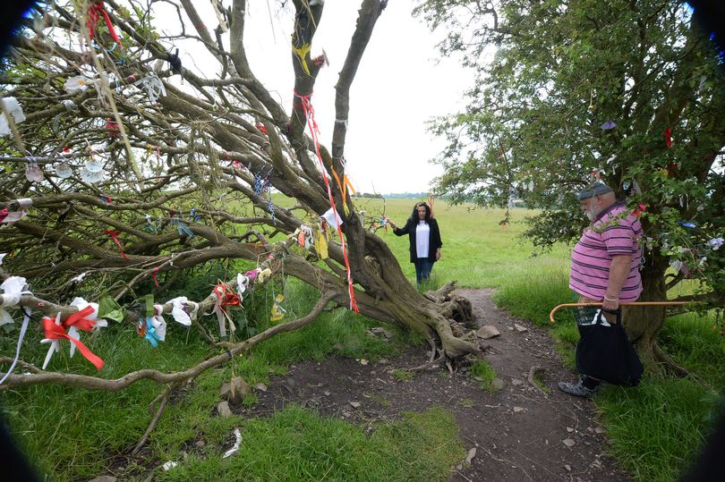 Visiting the Mystical Hill of Tara Ireland in Meath Visiting the Mystical Hill of Tara Ireland in Meath