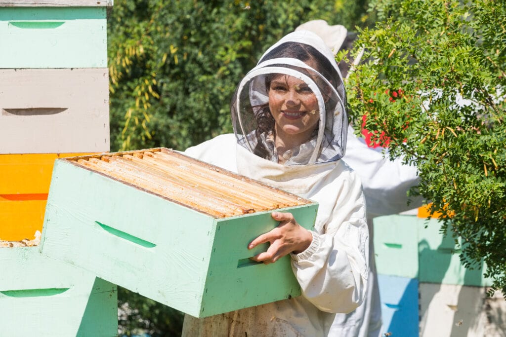 Portrait of beautiful beekeeper carrying honeycomb box while working at apiary