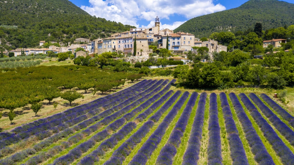 Where to find the sublime lavender fields of France