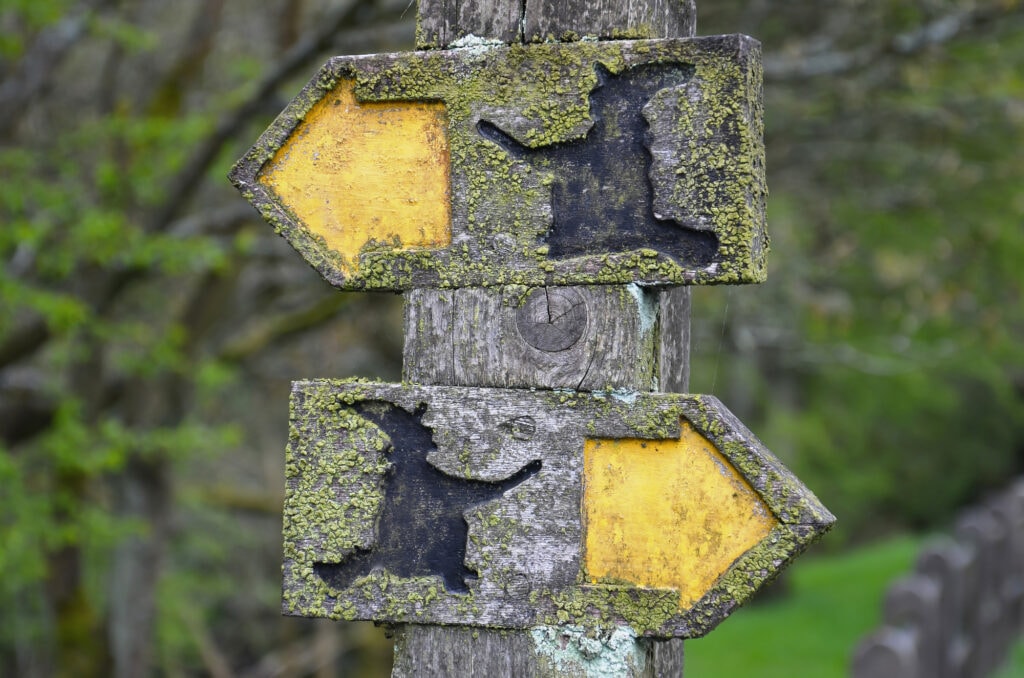 Moss-covered wooden signs along the Pendle Witches Trail in Lancashire with witches silhouettes conveying contradictory information