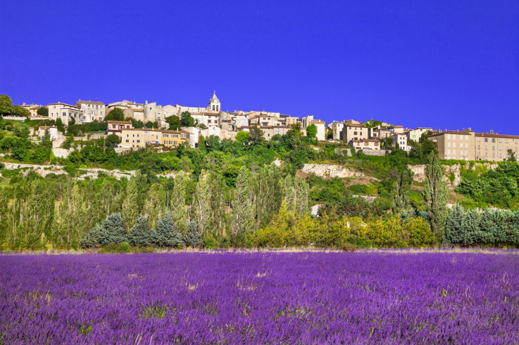 Where to find the sublime lavender fields of France