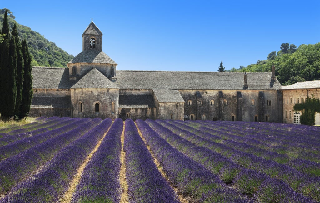 Where to find the sublime lavender fields of France