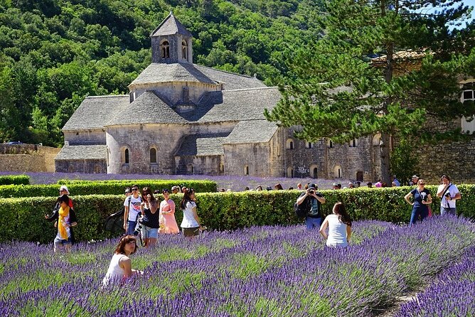 Where to find the sublime lavender fields of France