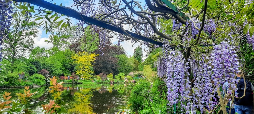 Visiting the Captivating Claude Monet Garden at Giverny Normandy