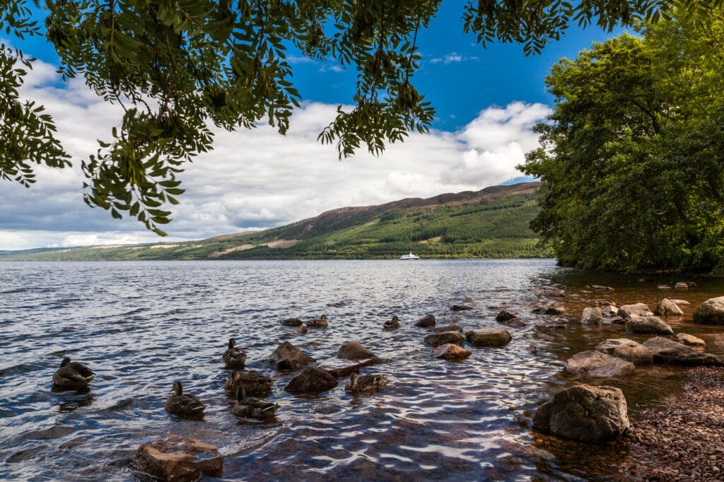 A view of Loch Ness in the Highlands of Scotland. Rocks and stones make up the beach with a few ducks floating near the shore. In the distance is a boat looking for Nessie