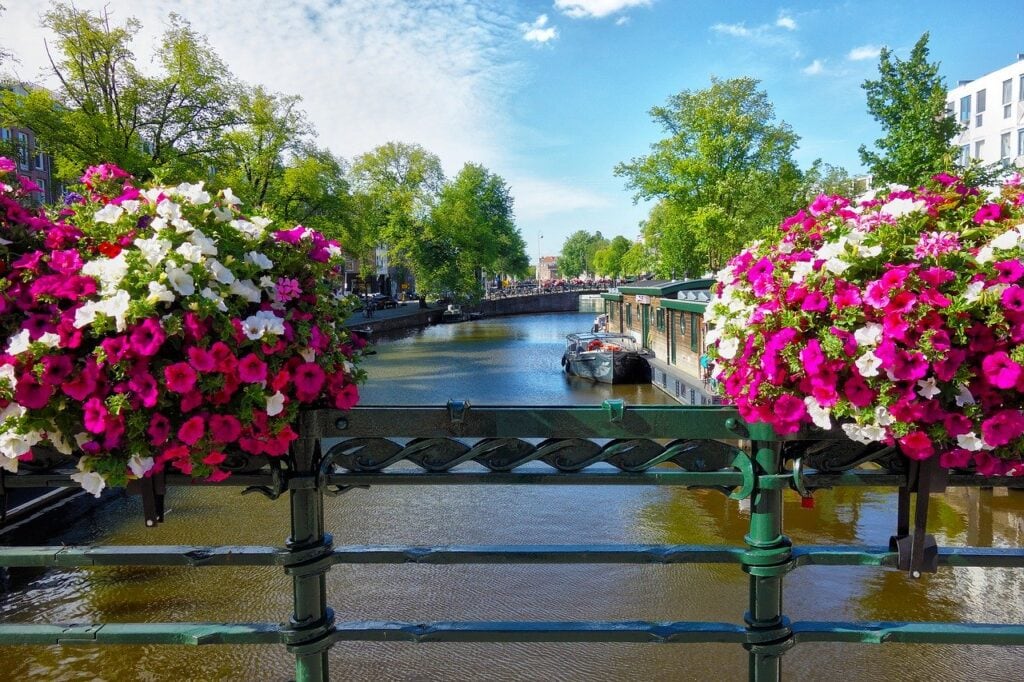 Dutch foods - looking out over the Amsterdam Canals with gorgeous planters of pink and white petunias and boats on the water