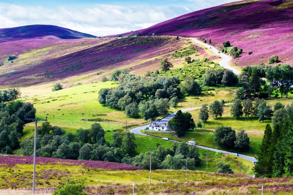 Picturesque road in Scottish Highlands, Cairngorms National Park near Lecht Ski Resort, Scotland, United Kingdom, Europe