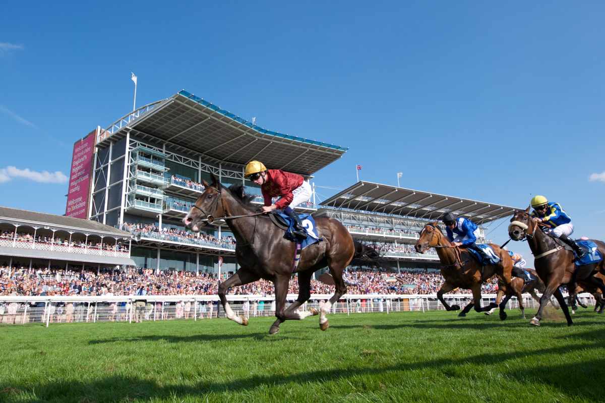 A horse running on the York race course