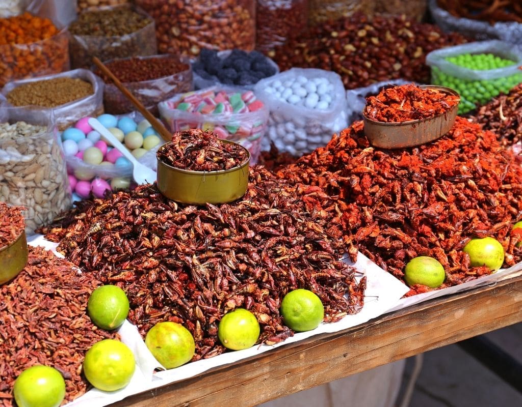 Food from Oaxaca: The joy of Oaxacan Food