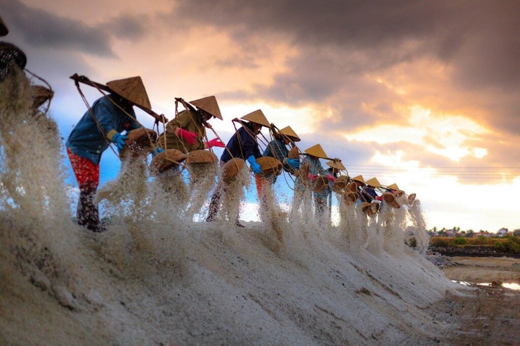 Salt mines around the world, salt mining and panning in Vietname. Workers with the traditional pointed straw sunhat in Vietnam are gathering baskets of salt