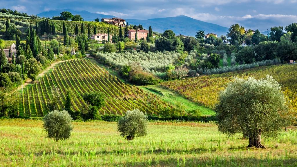 Cooking Class in Tuscany with a private Chef