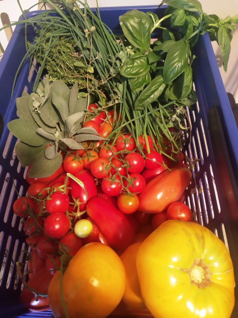 Cooking Class in Tuscany with a private Chef