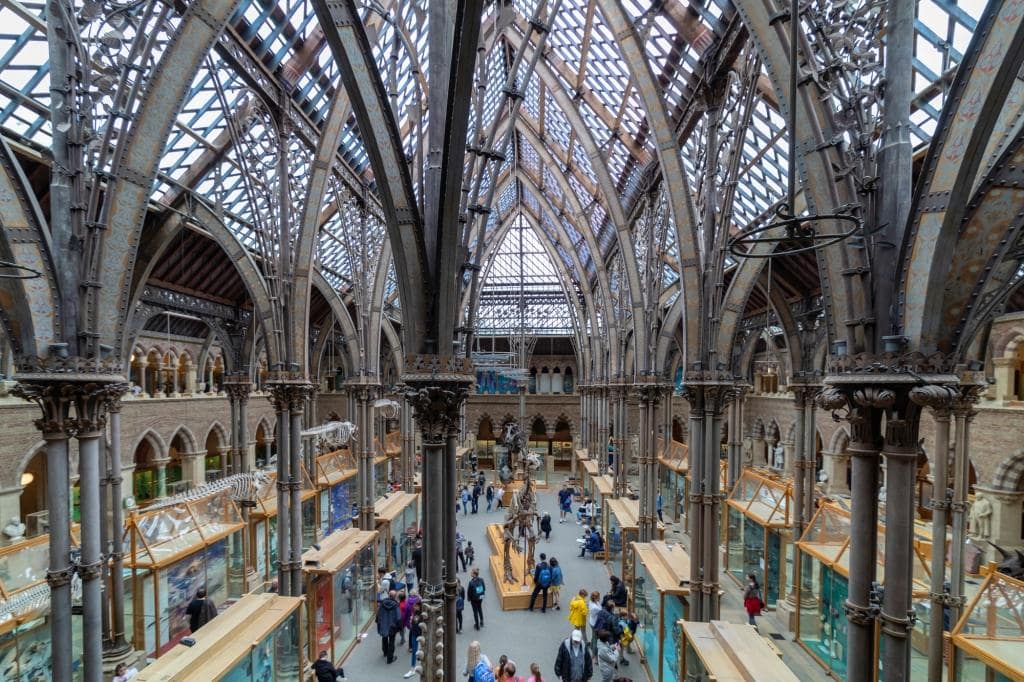 The Famous Oxford University Museum of Natural History, is a museum displaying many of the University of Oxford's natural history specimens, located on Parks Road in Oxford, England.