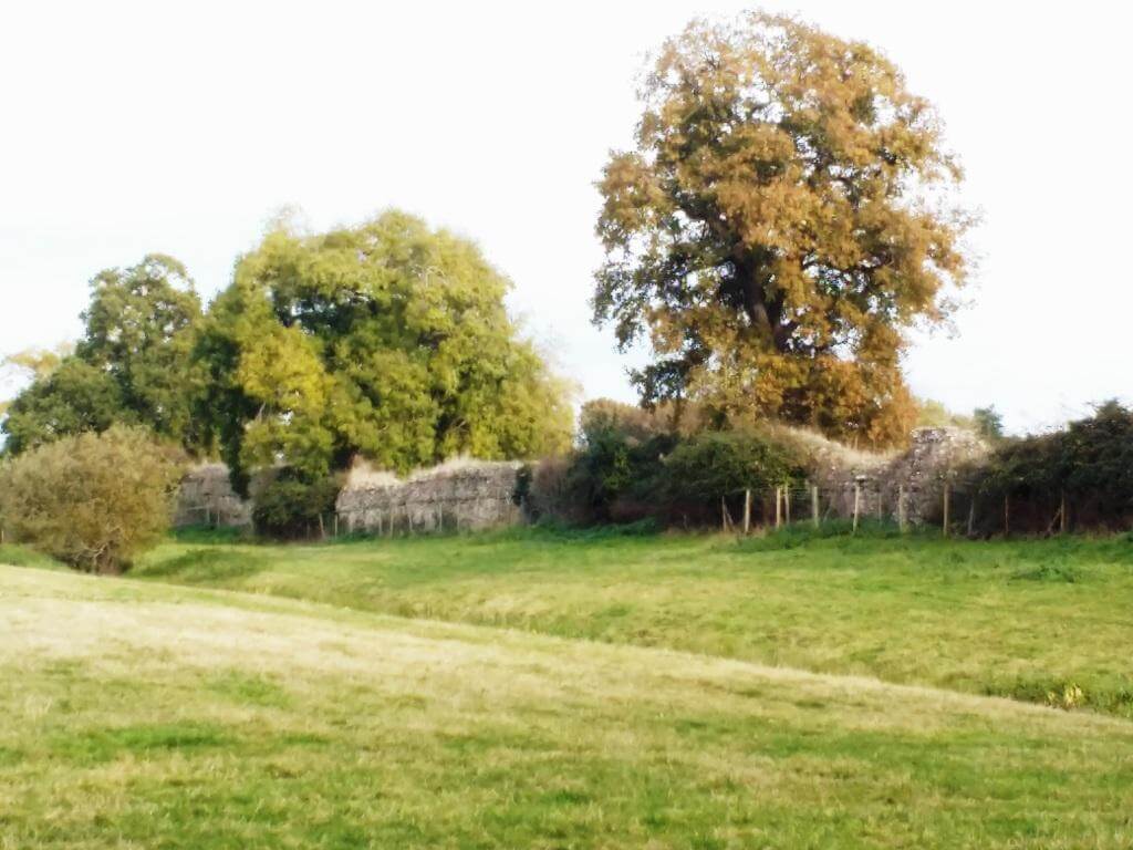 Roman walls beside a pathway in Silchester