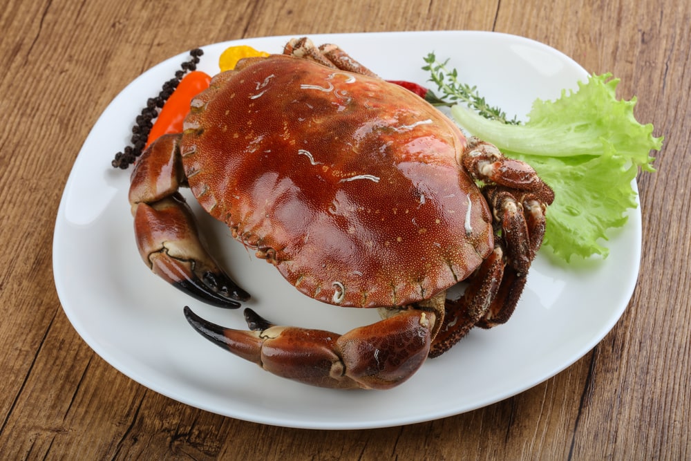 Delicous Stone crab with herbs and spices