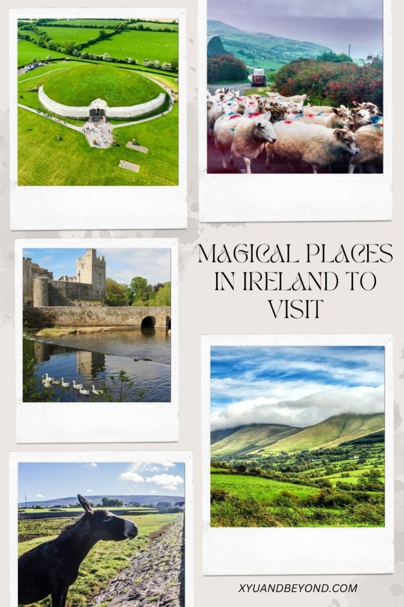 Collage of scenic locations to see in Ireland, including an aerial view of a historical monument, sheep in a meadow, a castle by a lake, lush green hills, and a deer in the