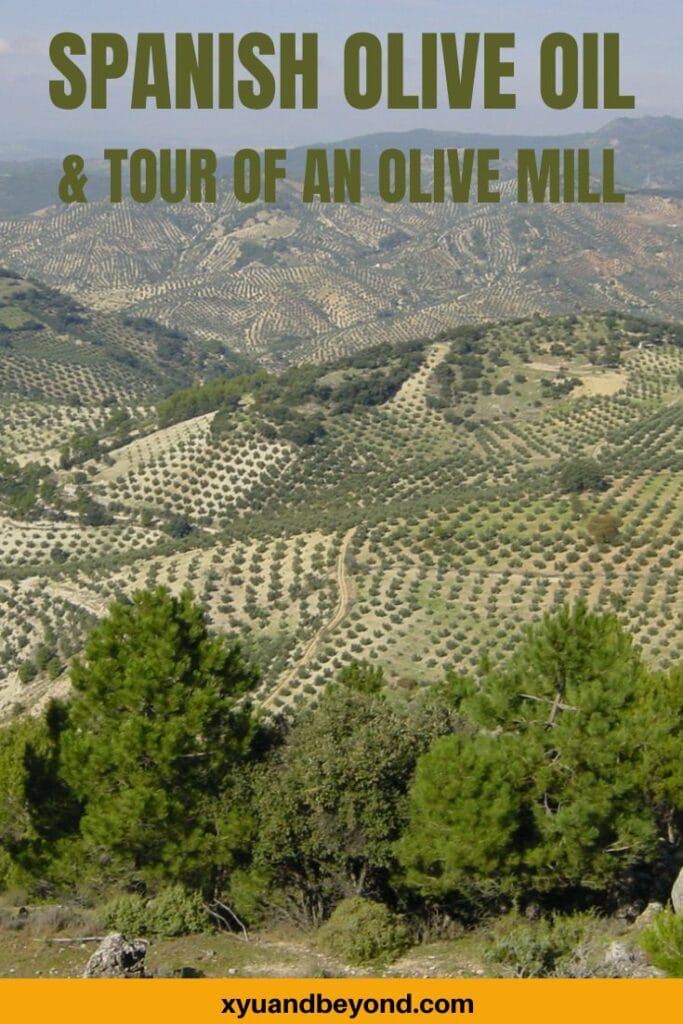 The Ultimate Guide to Spanish Olive Oil