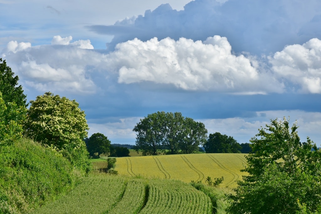 Things to do in Lincolnshire