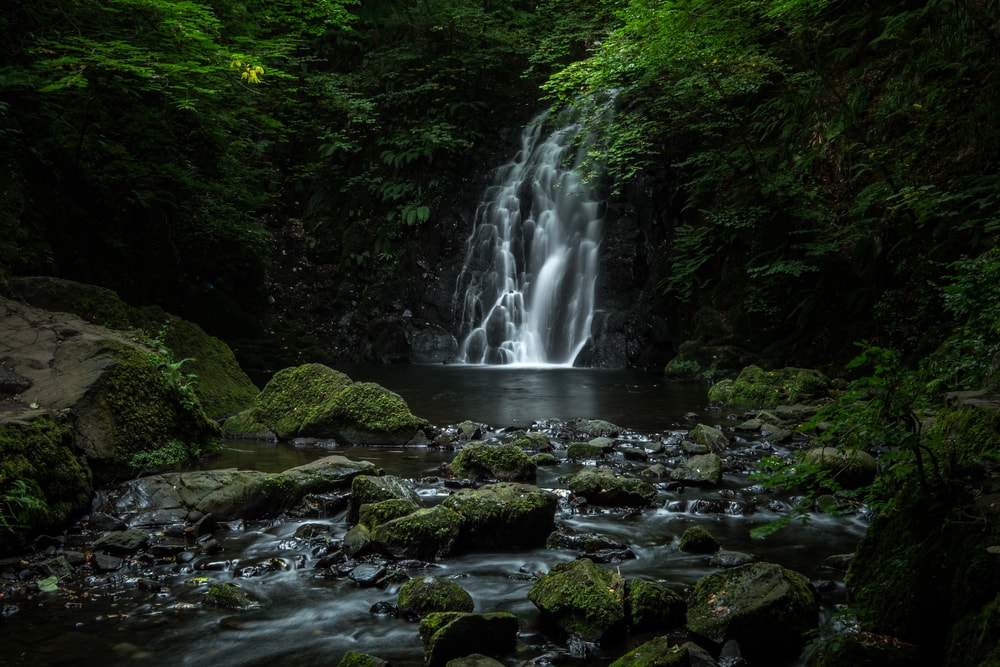 19 Most beautiful waterfalls in Ireland Glenoe Waterfall, located in glens of Antrim, Northern Ireland