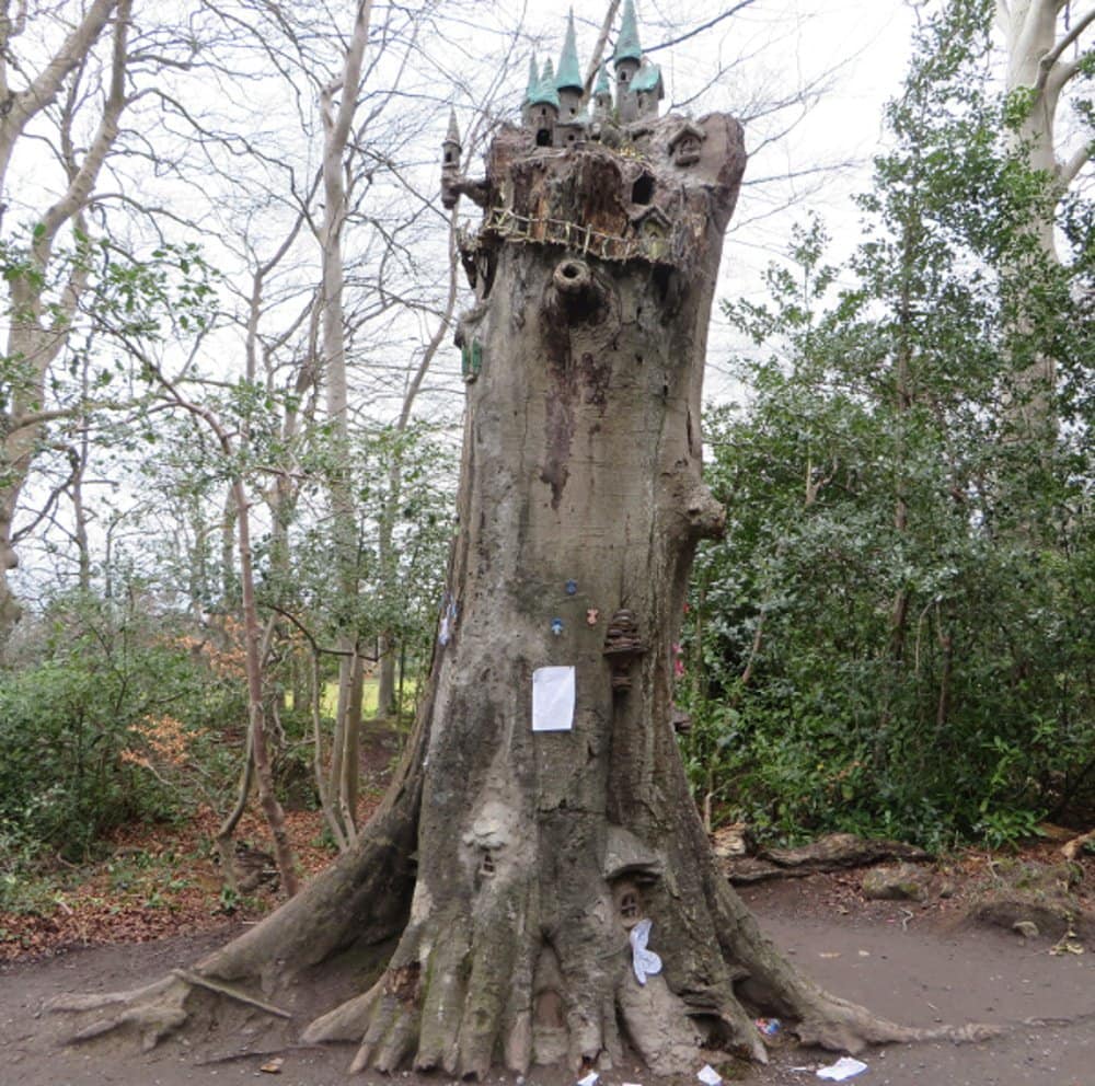 Finding Irish Fairies and fairy gardens in Ireland