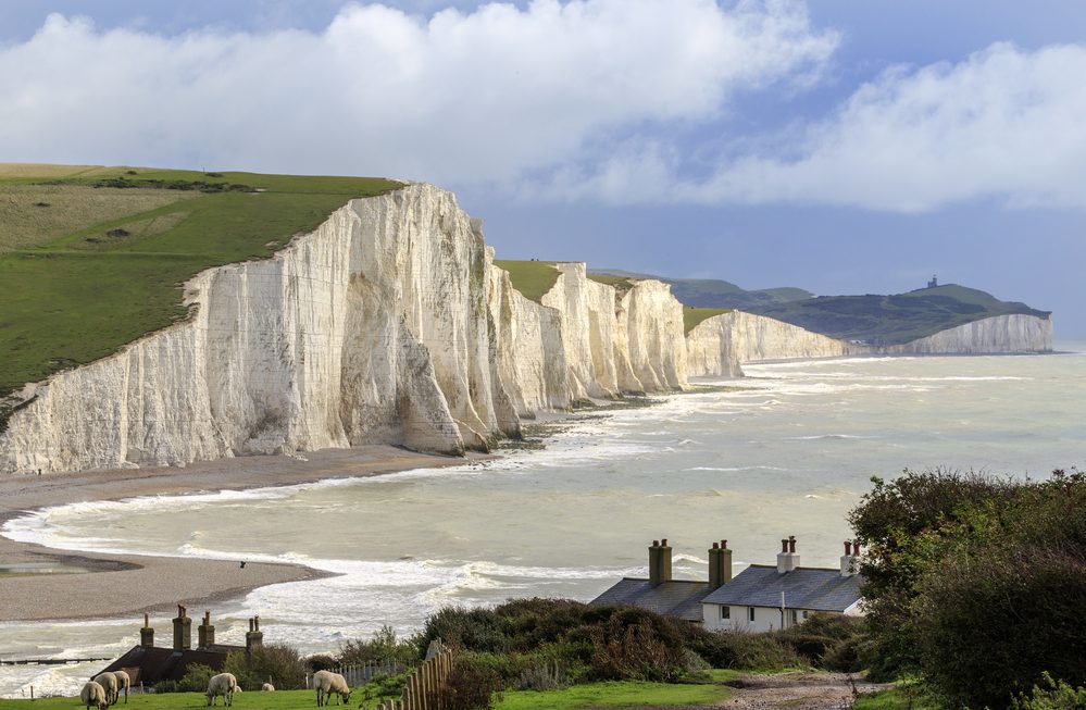 Tall white cliffs rise above a coastline with houses in the foreground and sheep grazing in a grassy field. Pros and cons of living in the UK