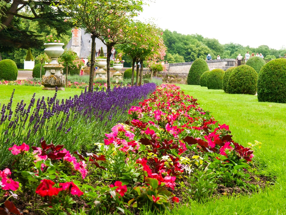 Where to find the sublime lavender fields of France