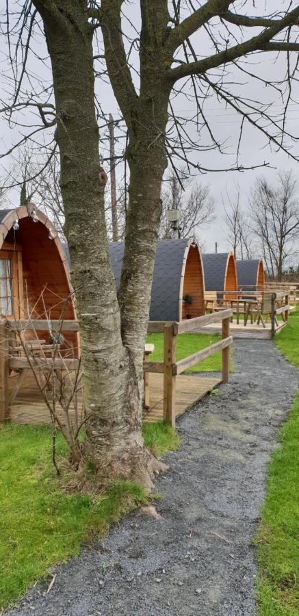 The Best Glamping in Ireland