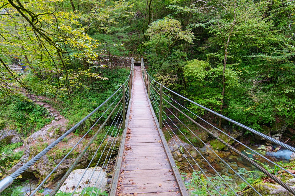 Wooden bridge above the clear turquoise water of the Zadlascica river surrounded by green trees. Tolmin Gorge (Tolminska Korita). Triglav National Park. Soca Valley. Slovenia. 