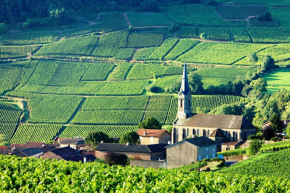 Vergisson with vineyards, Burgundy, France