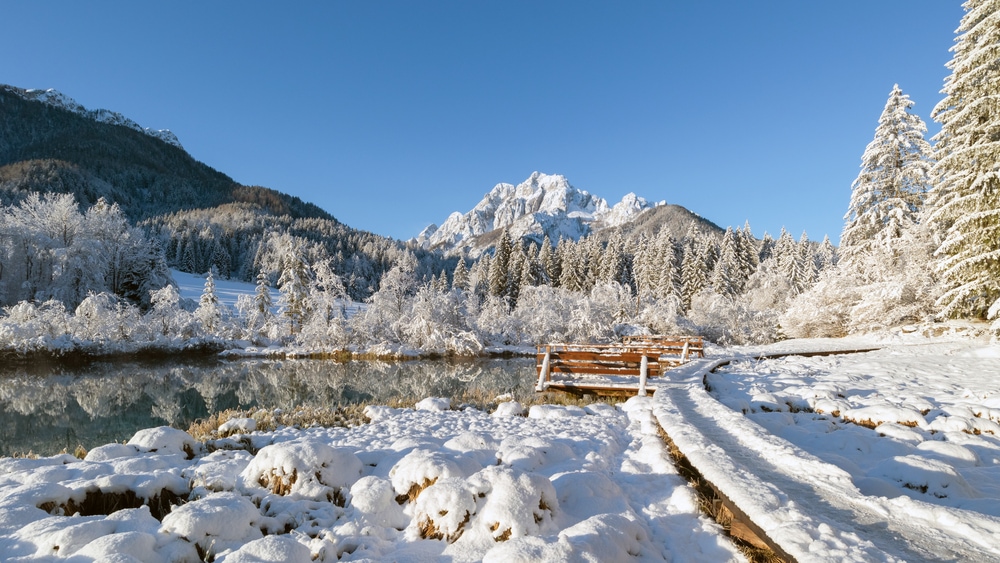 Cold winter morning at the Zelenci lake in Kranjska Gora, Slovenia.