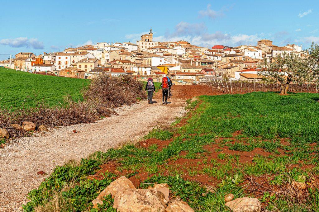 Walk the Camino de Santiago